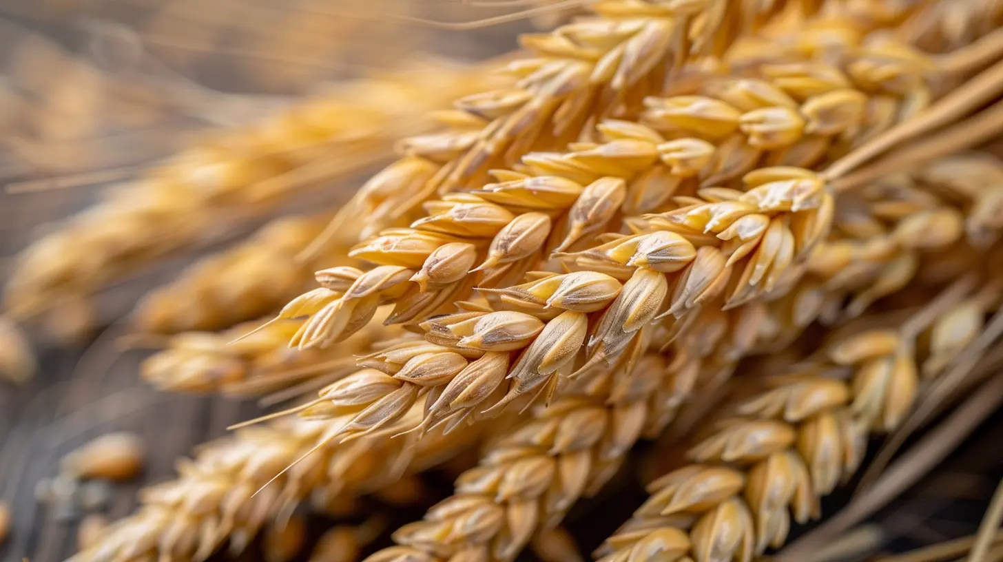 Why Fiber Is the Most Overlooked Nutrient You Need