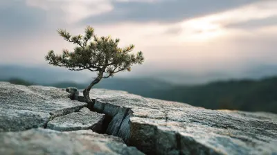 Turning Setbacks into Growth Opportunities: Emotional Resilience