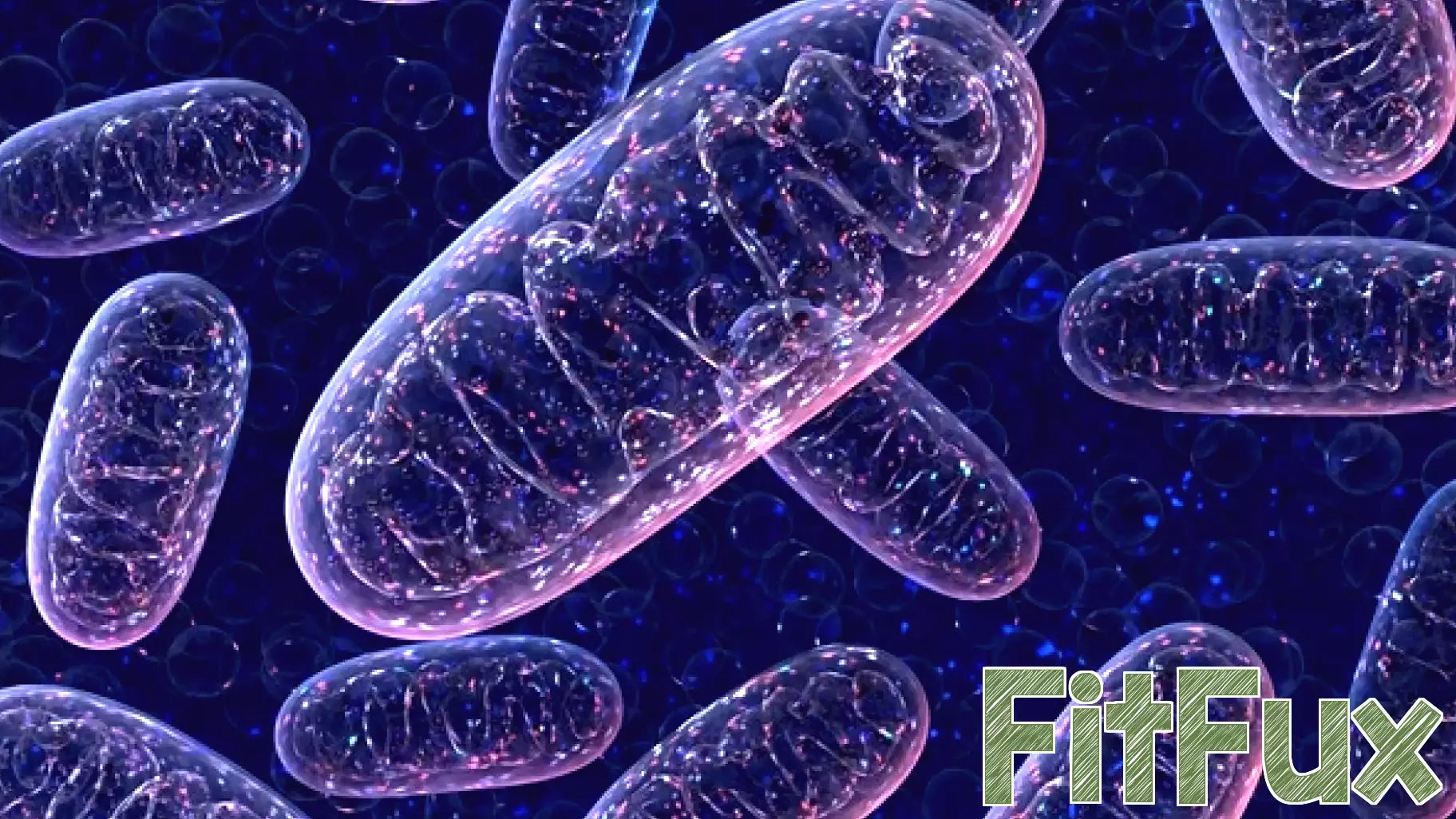 Discovering the Connection Between Brain Health and Mitochondrial Function