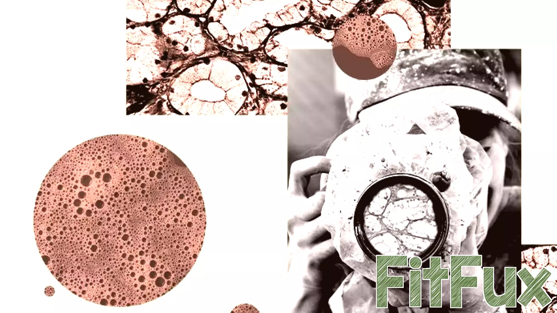 Do Body Cells Hold Memories That Affect Health and Weight Loss?