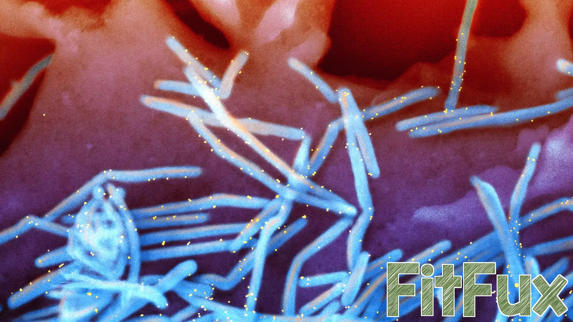 Doctors worry about FDA scrutiny of RSV shots to protect babies