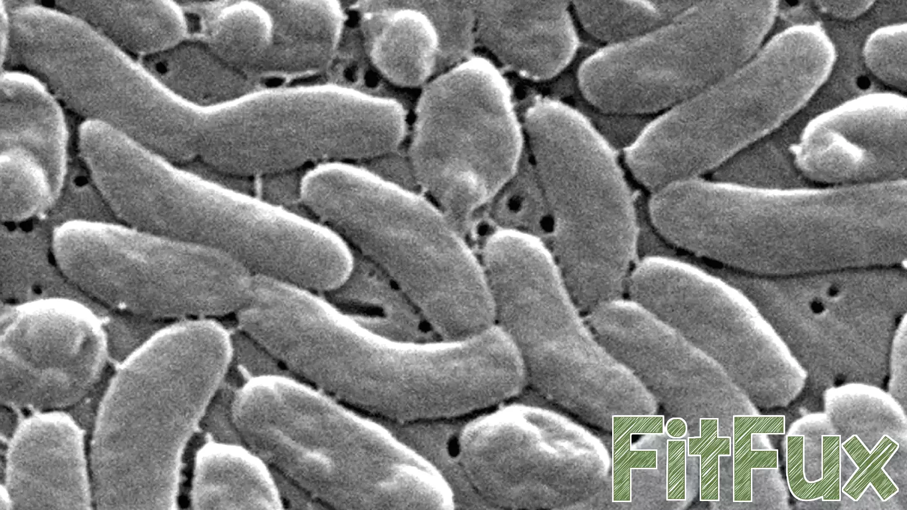 Flesh-eating bacteria cases prompt health warnings for Gulf Coast