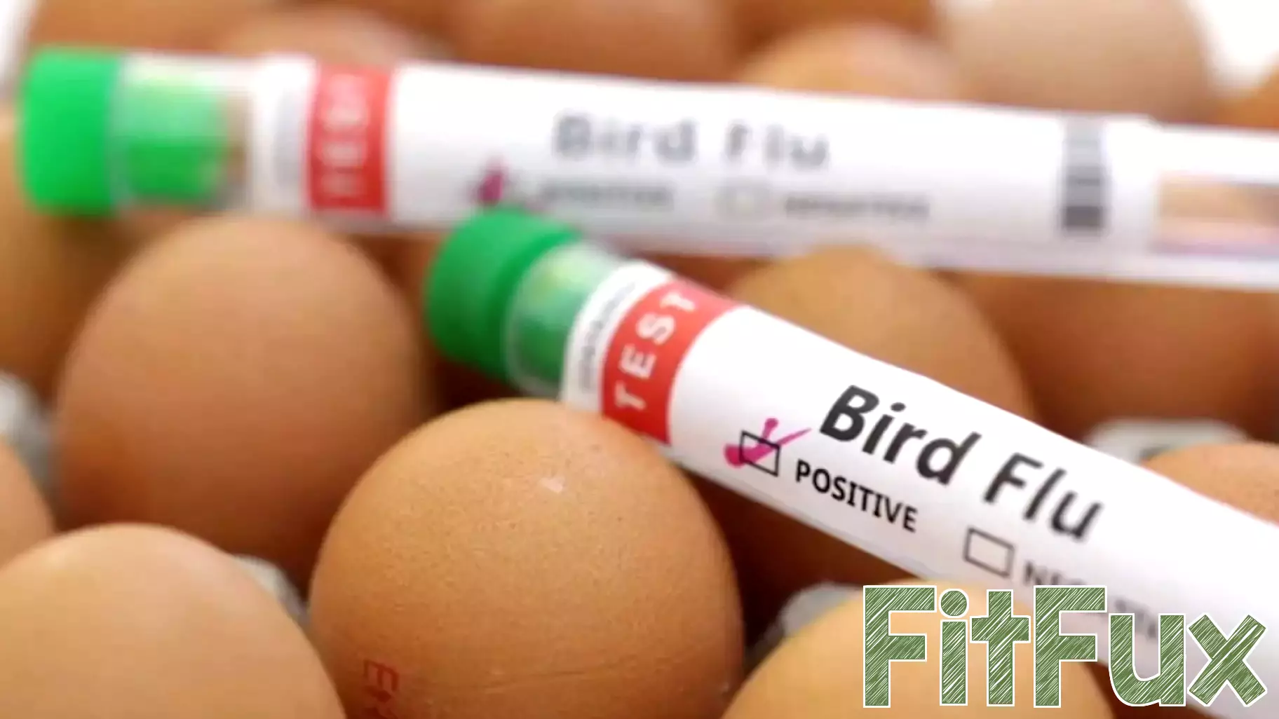 Health Officials Advise Caution Amid Low Bird Flu Risk