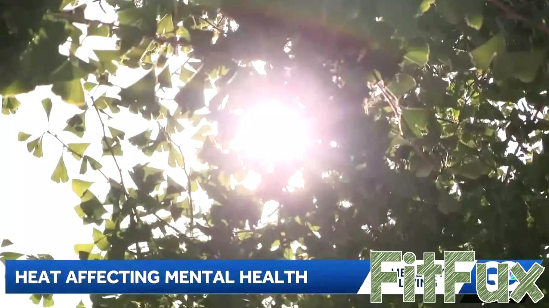 How extreme heat affects mental health and what experts recommend