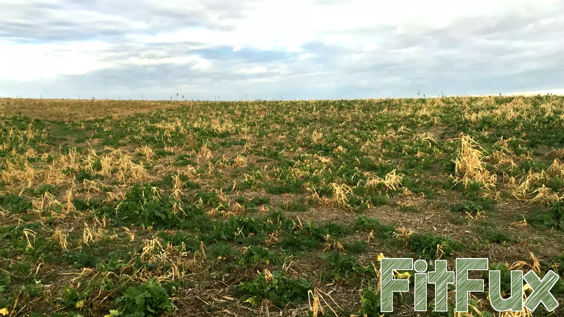 Key Indicators for Assessing Soil Health on Your Farm