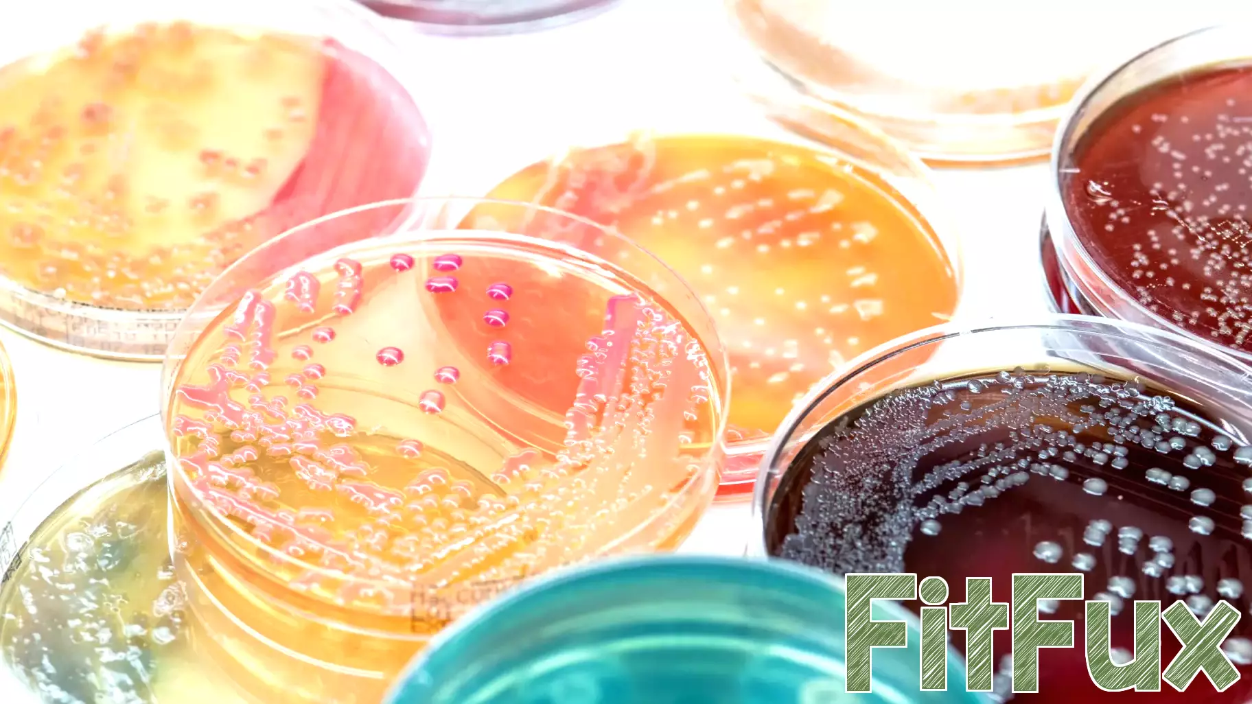 Microbiology Society Recognizes Vanderbilt Health Researchers for Outstanding Work