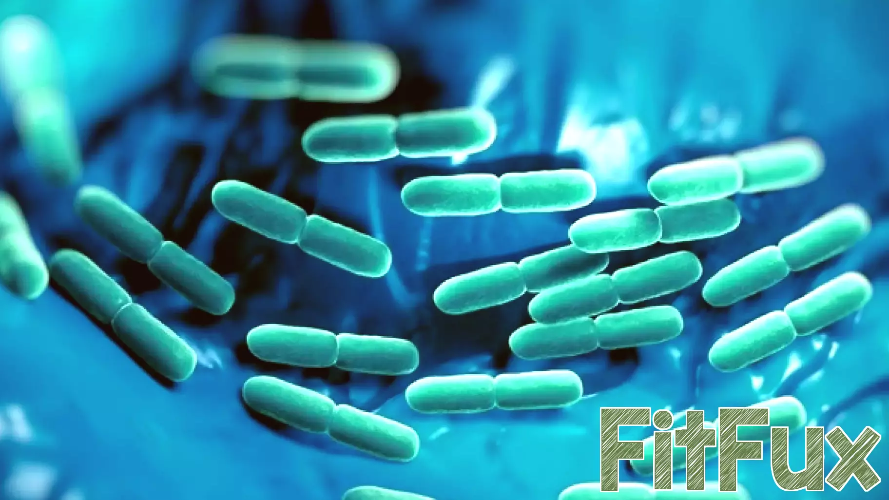 New Center Established to Advance Research on Sepsis