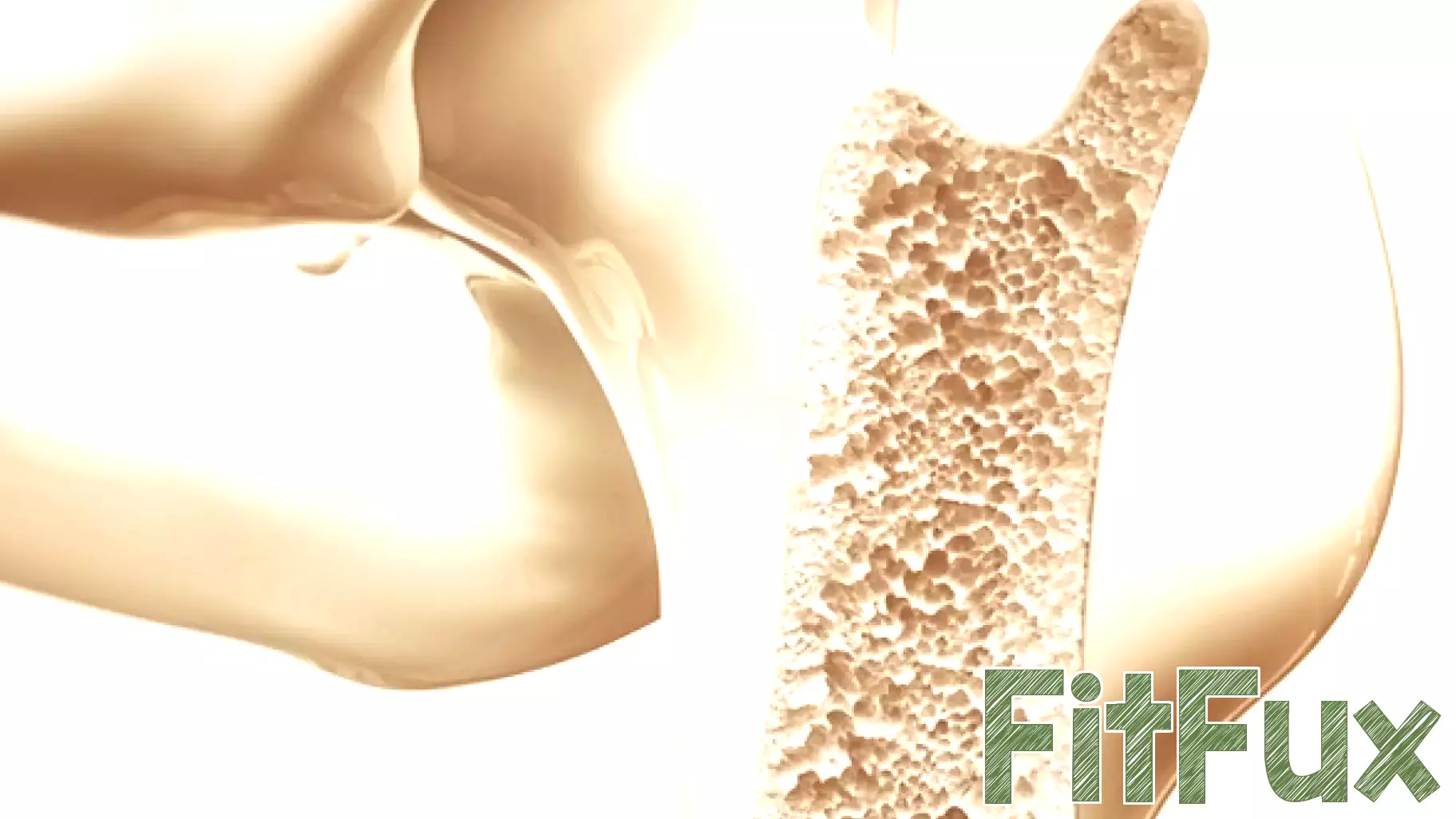 New Clinical Trial Investigates Probiotics and Prebiotics for Bone Health in Older Women