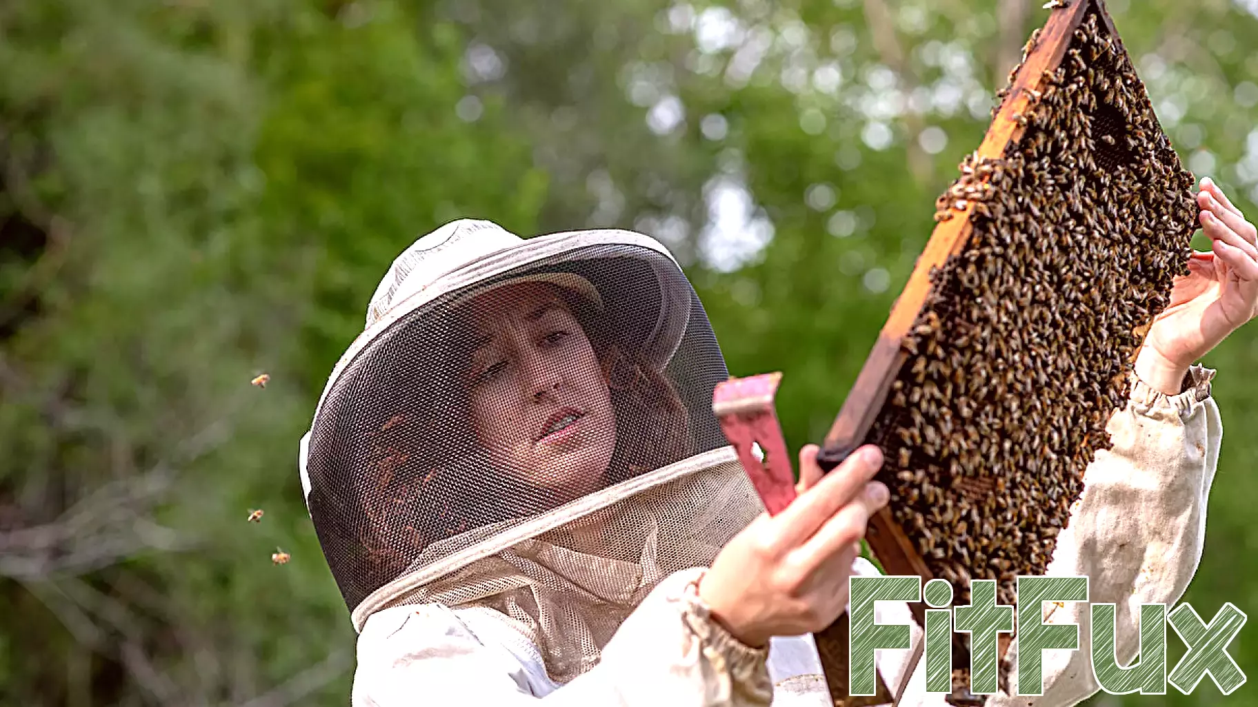 New Research Highlights Innovative Approach to Enhancing Bee Health