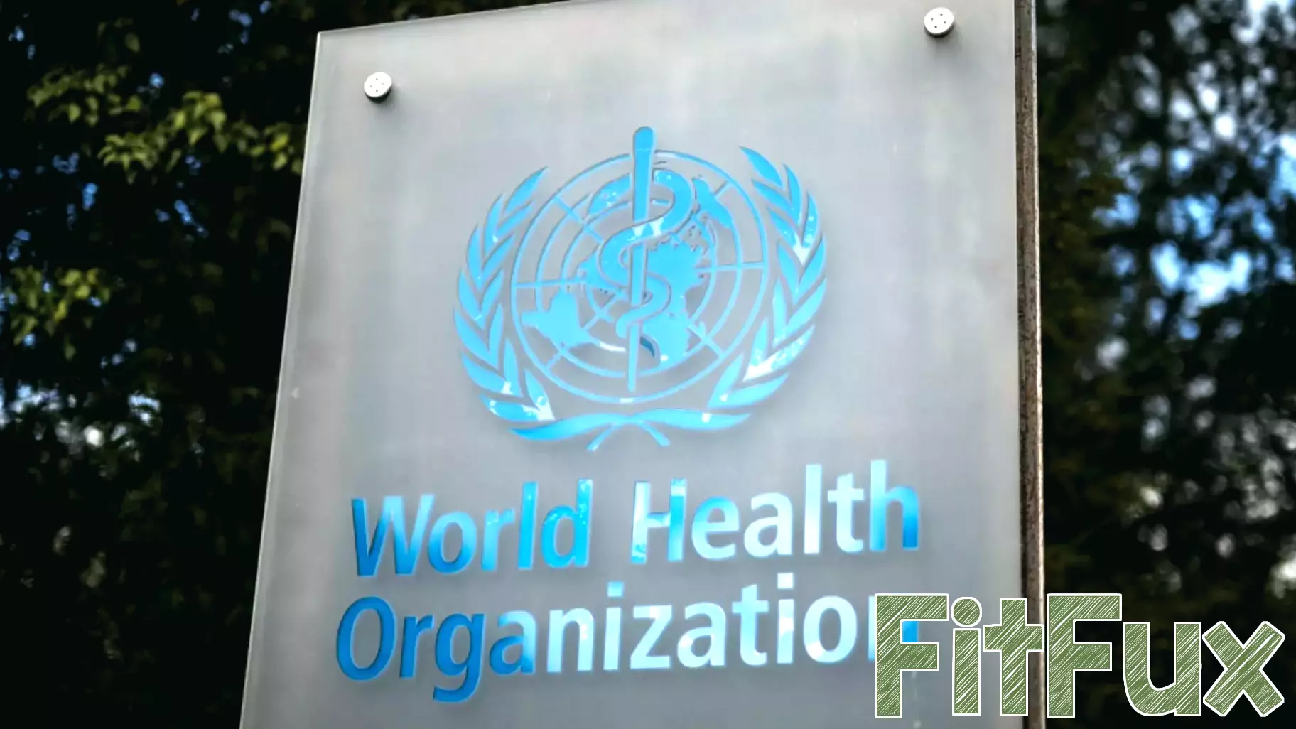 New York City joins UN health network after Trump’s withdrawal from WHO