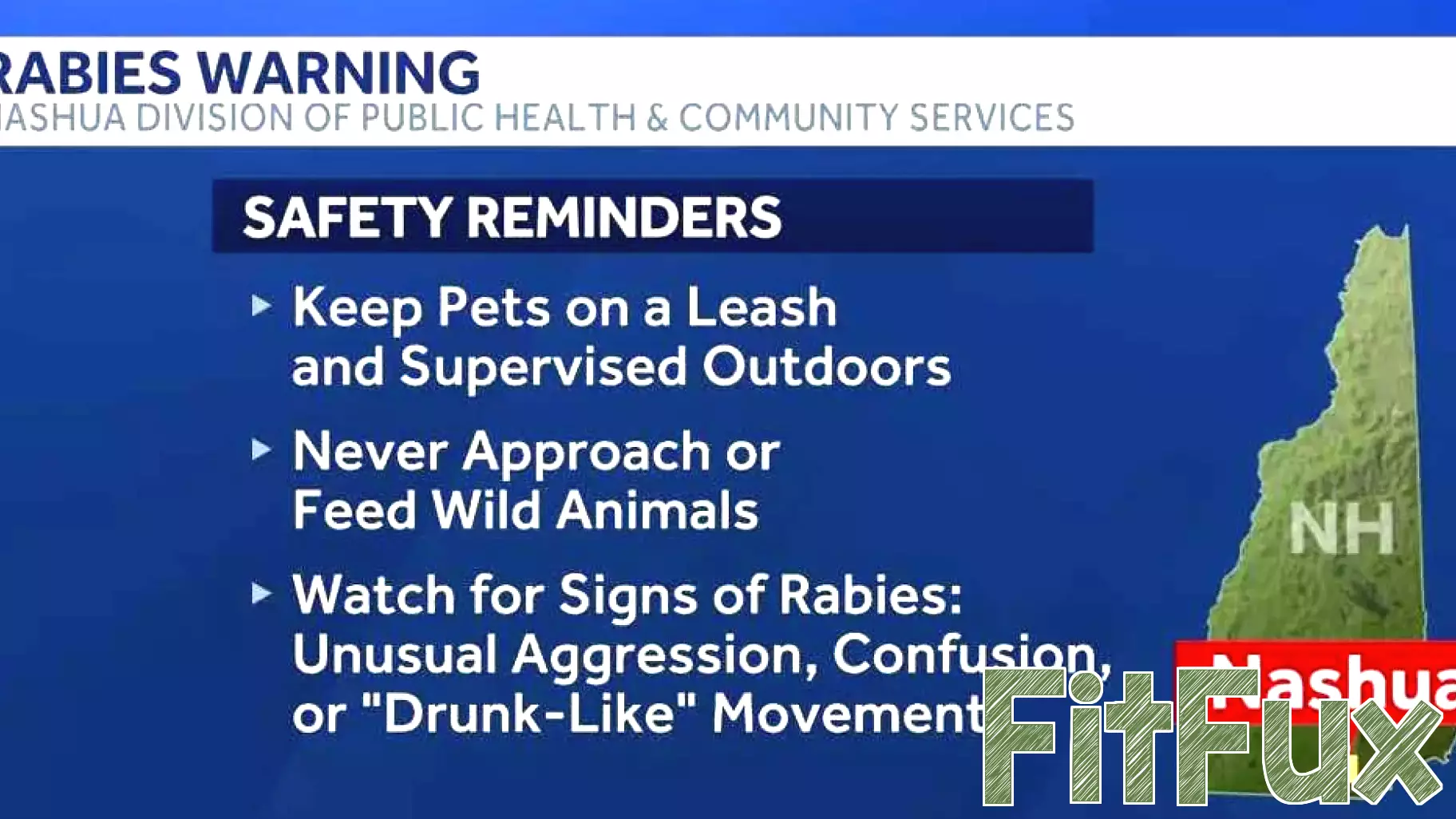 Raccoon Tests Positive for Rabies, Warning Issued by Health Officials