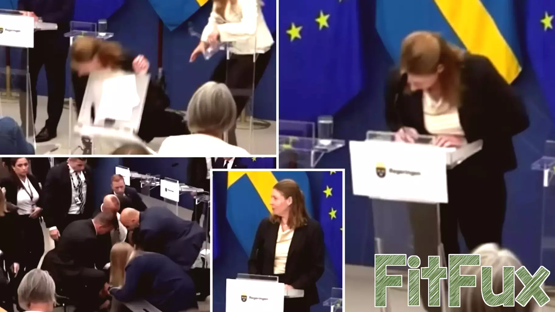 Sweden's New Health Minister Collapses During Press Conference