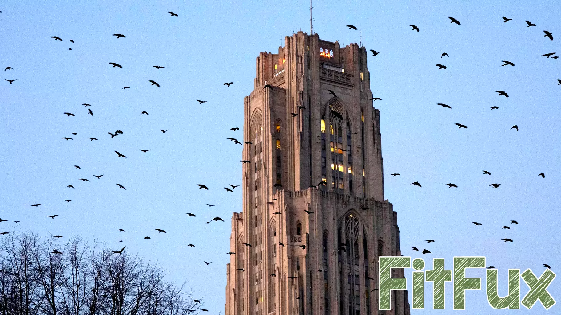 University of Pittsburgh team's FRED model tracks measles