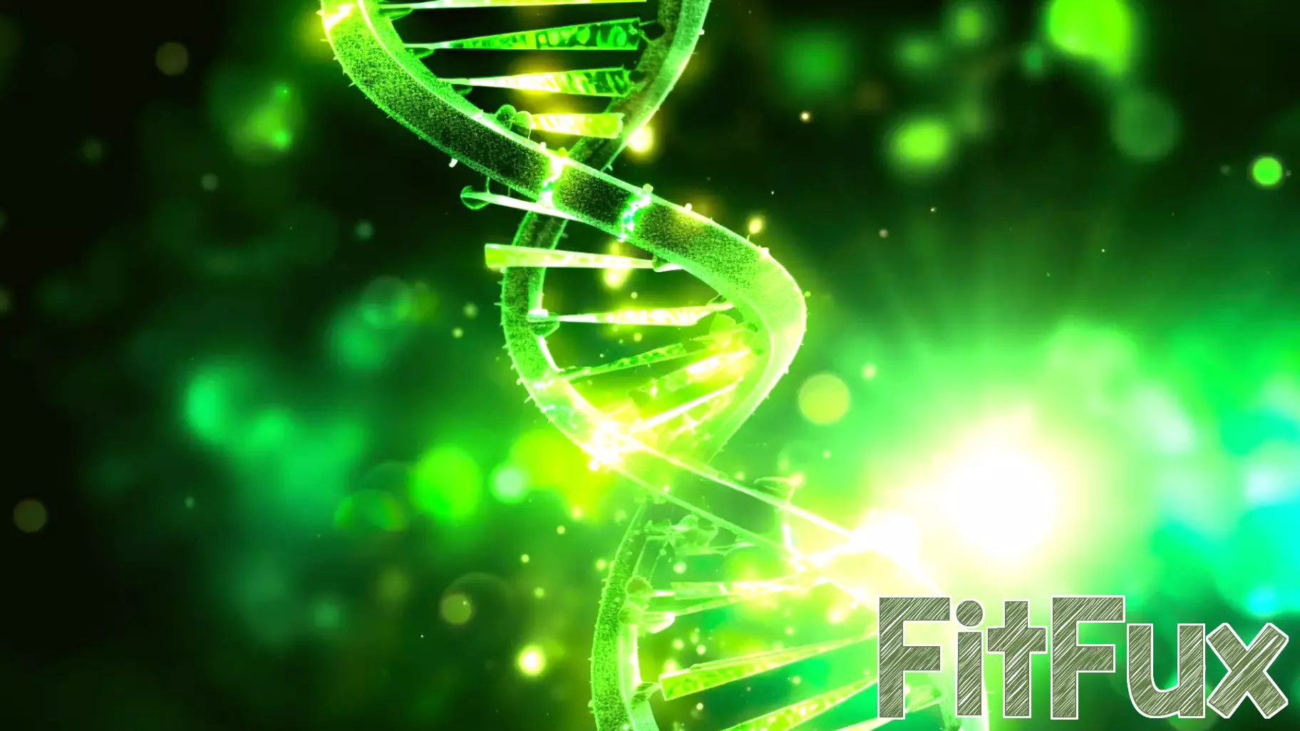 Unlocking Genetic Mysteries: The Connection Between Reproductive Health and Longevity