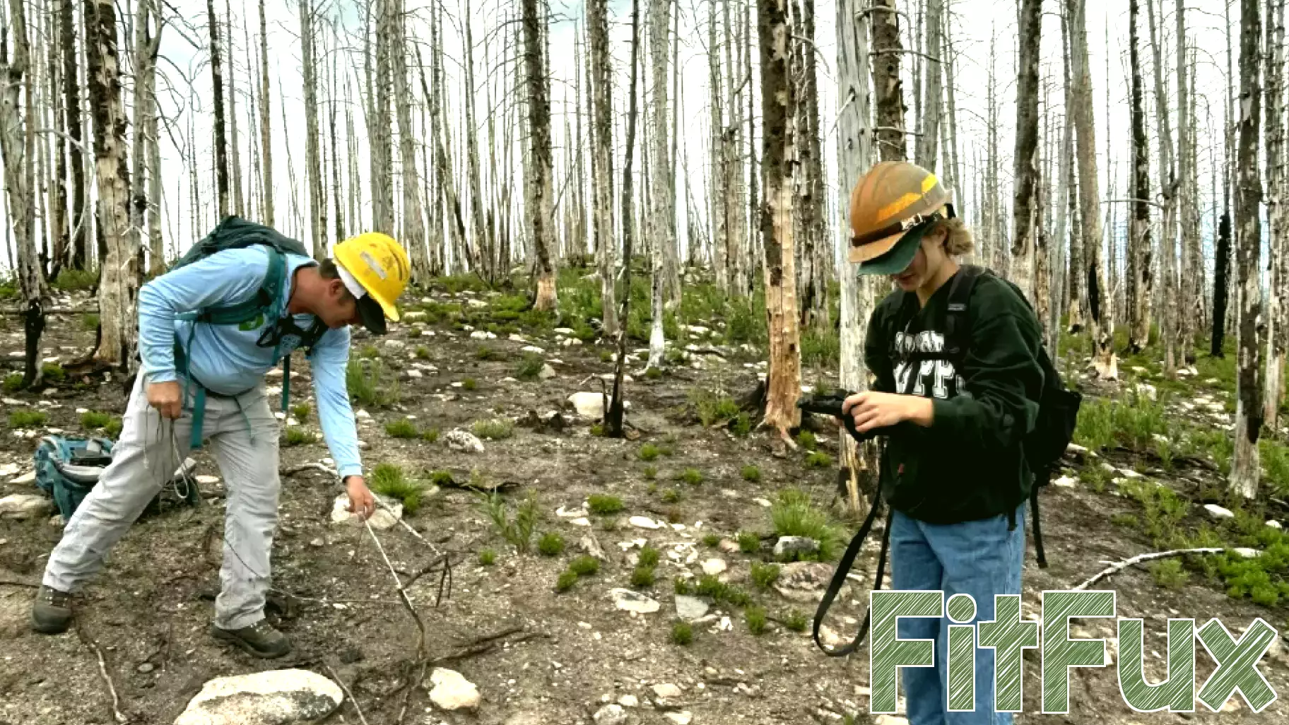 YVCF habitat fund awards 3 grants targeting invasive weeds, river health and post-fire recovery