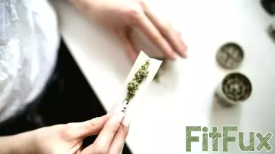 Daily Cannabis Use Associated with Increased Health Risks