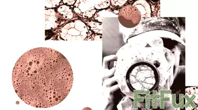Do Body Cells Hold Memories That Affect Health and Weight Loss?