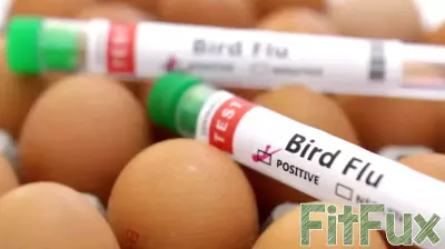 Health Officials Advise Caution Amid Low Bird Flu Risk