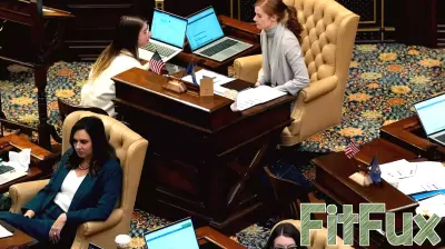 Michigan Democrats Push for Reproductive Health Care Legislation Ahead of GOP Majority