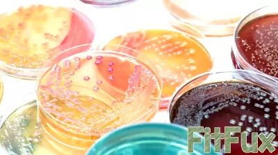 Microbiology Society Recognizes Vanderbilt Health Researchers for Outstanding Work
