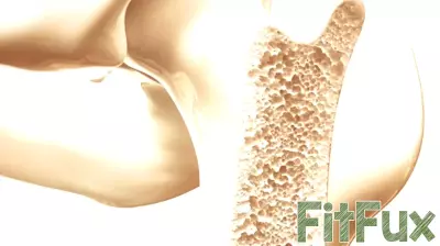 New Clinical Trial Investigates Probiotics and Prebiotics for Bone Health in Older Women