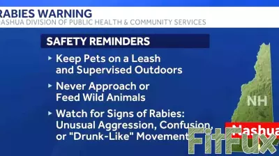Raccoon Tests Positive for Rabies, Warning Issued by Health Officials