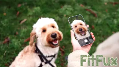 Revolutionizing Pet Care: AI-Powered Tool by Mars Enhances Pet Health Management