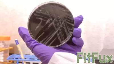 Second person dies in Upper East Side Legionnaires' disease outbreak