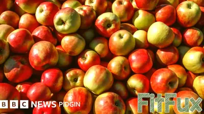 The Health Benefits of Eating Apples: Is One a Day Truly Good for You?