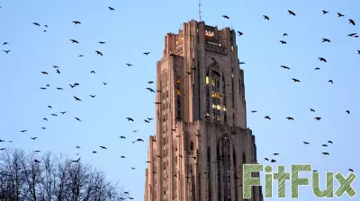 University of Pittsburgh team's FRED model tracks measles