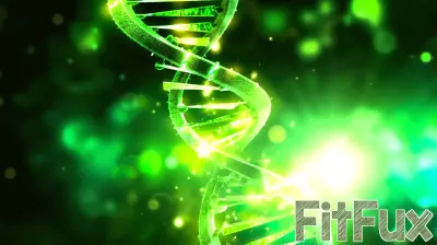 Unlocking Genetic Mysteries: The Connection Between Reproductive Health and Longevity