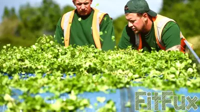 Watercress Declared the Healthiest Vegetable by CDC in 2024